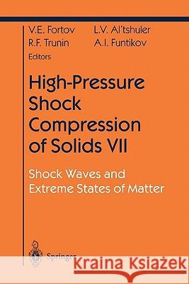 High-Pressure Shock Compression of Solids VII: Shock Waves and Extreme States of Matter Fortov, Vladimir E. 9781441919199 Not Avail
