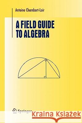 A Field Guide to Algebra Antoine Chambert-Loir 9781441919472 Not Avail