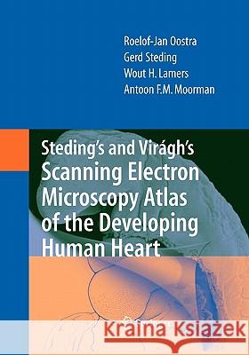 Steding's and Virágh's Scanning Electron Microscopy Atlas of the Developing Human Heart Oostra, R. J. 9781441922755 Springer