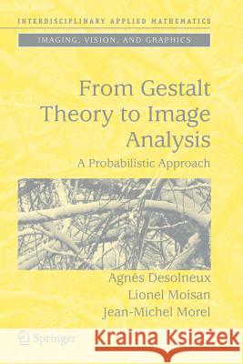 From Gestalt Theory to Image Analysis: A Probabilistic Approach Desolneux, Agnès 9781441924810 Not Avail