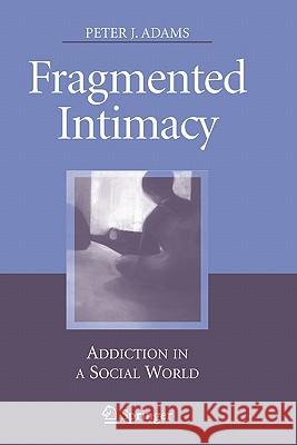 Fragmented Intimacy: Addiction in a Social World Adams, Peter J. 9781441924865 Springer