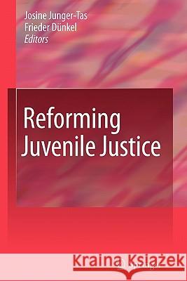 Reforming Juvenile Justice Springer 9781441927910