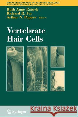 Vertebrate Hair Cells Ruth Anne Eatock Richard R. Fay 9781441929082 Not Avail