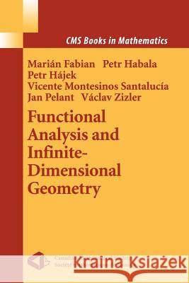 Functional Analysis and Infinite-Dimensional Geometry Marian Fabian Petr Habala Petr Hajek 9781441929129 Not Avail