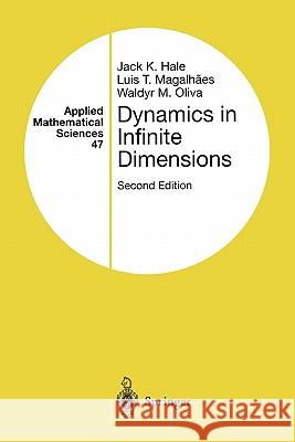 Dynamics in Infinite Dimensions Jack K. Hale Luis T. Magalhaes Waldyr Oliva 9781441930125