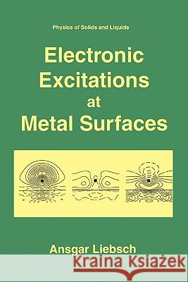 Electronic Excitations at Metal Surfaces Ansgar Liebsch 9781441932716 Not Avail