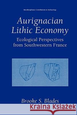 Aurignacian Lithic Economy: Ecological Perspectives from Southwestern France Dibble, Harold 9781441933379 Not Avail