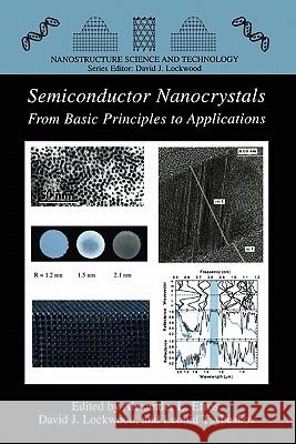 Semiconductor Nanocrystals: From Basic Principles to Applications Efros, Alexander L. 9781441934024 Not Avail