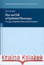 Rise and Fall of Epithelial Phenotype: Concepts of Epithelial-Mesenchymal Transition Savagner, Pierre 9781441934390 Not Avail