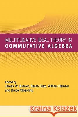 Multiplicative Ideal Theory in Commutative Algebra: A Tribute to the Work of Robert Gilmer Brewer, James W. 9781441937551 Springer