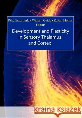 Development and Plasticity in Sensory Thalamus and Cortex Reha Erzurumlu William Guido Zoltan Molnar 9781441940681 Not Avail