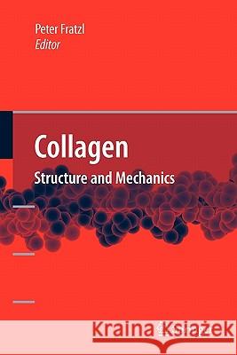 Collagen: Structure and Mechanics Fratzl, Peter 9781441944818 Springer
