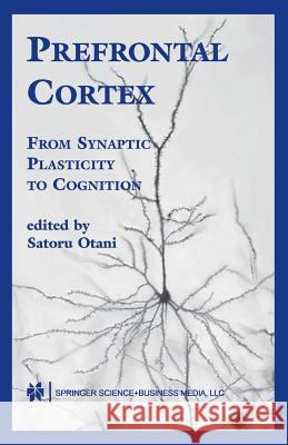 Prefrontal Cortex: From Synaptic Plasticity to Cognition Otani, Satoru 9781441954350 Not Avail