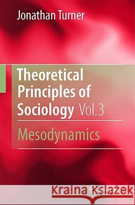 Theoretical Principles of Sociology, Volume 3: Mesodynamics Turner, Jonathan H. 9781441962201