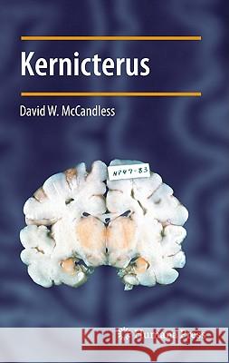Kernicterus David W. McCandless 9781441965547