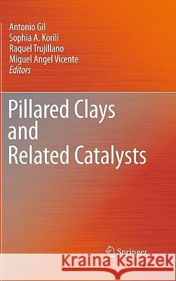 Pillared Clays and Related Catalysts Antonio Gil Sophia A. Korili Raquel Trujillano 9781441966698 Not Avail