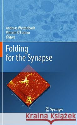 Folding for the Synapse Andreas Wyttenbach Vincent O'Connor 9781441970602 Not Avail