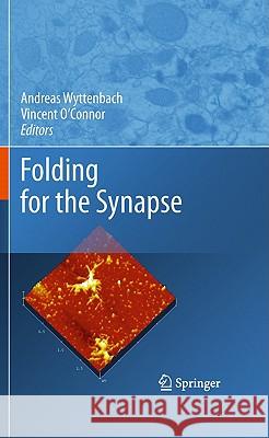 Folding for the Synapse Andreas Wyttenbach Vincent O'Connor 9781441970602