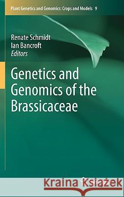 Genetics and Genomics of the Brassicaceae Ian Bancroft Renate Schmidt Richard A. Jorgensen 9781441971173 Not Avail