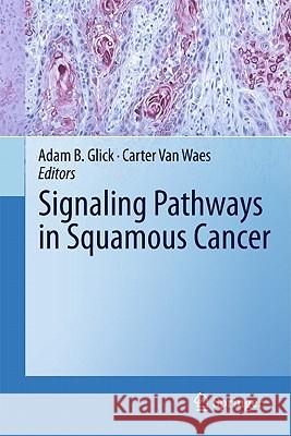 Signaling Pathways in Squamous Cancer Adam B. Glick Carter Van Waes 9781441972026 Not Avail