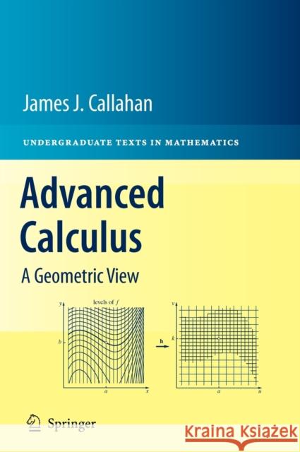 Advanced Calculus: A Geometric View James J. Callahan, Jr. 9781441973313 Springer-Verlag New York Inc.