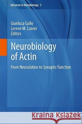 Neurobiology of Actin: From Neurulation to Synaptic Function Gallo, Gianluca 9781441973672 Not Avail