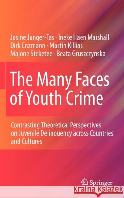 The Many Faces of Youth Crime: Contrasting Theoretical Perspectives on Juvenile Delinquency Across Countries and Cultures Junger-Tas, Josine 9781441994547