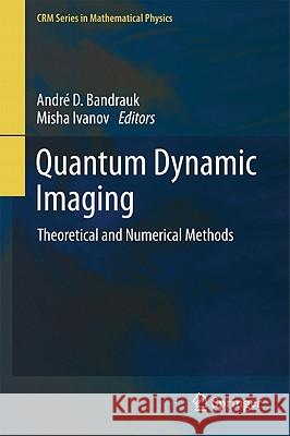 Quantum Dynamic Imaging: Theoretical and Numerical Methods Bandrauk, Andre D. 9781441994905 Not Avail