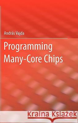 Programming Many-Core Chips András Vajda 9781441997388