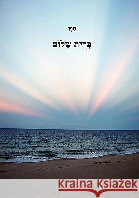 Bris Shulem Mohorosh O 9781442151666 Createspace