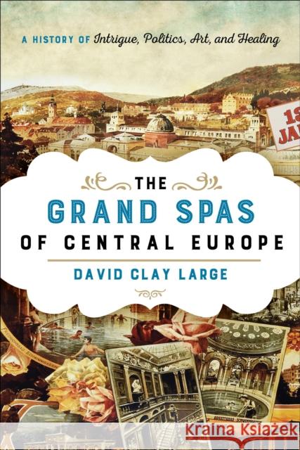 The Grand Spas of Central Europe: A History of Intrigue, Politics, Art, and Healing David Clay Large 9781442222366