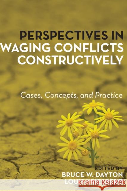 Perspectives in Waging Conflicts Constructively: Cases, Concepts, and Practice Bruce W. Dayton Louis Kriesberg 9781442265509 Rowman & Littlefield Publishers
