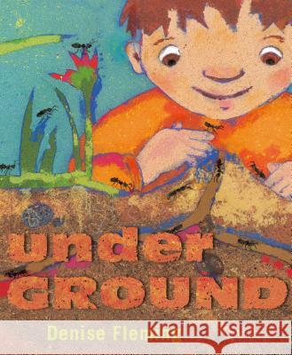 Underground Denise Fleming Denise Fleming 9781442458826