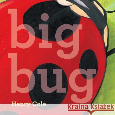 Big Bug Henry Cole Henry Cole 9781442498976 Little Simon