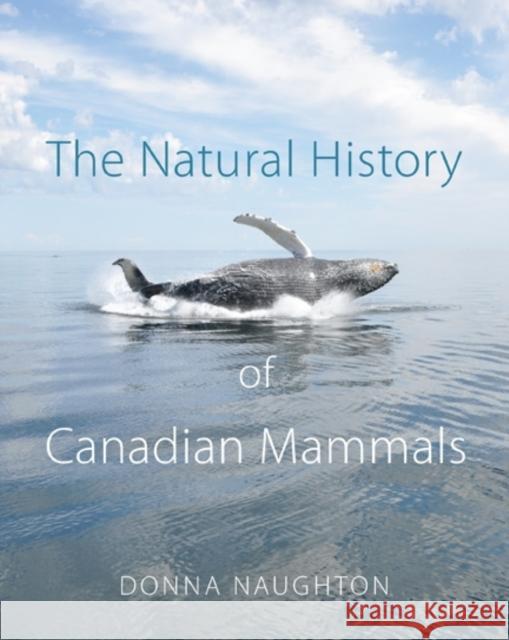 The Natural History of Canadian Mammals Donna Naughton 9781442644830 0