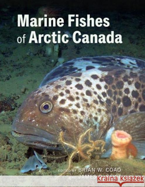 Marine Fishes of Arctic Canada Brian W. Coad James D. Reist 9781442647107