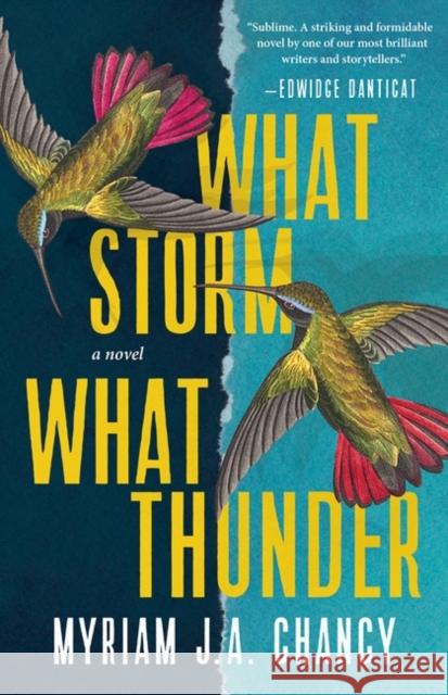 What Storm, What Thunder: A Novel Myriam J.A. Chancy 9781443460354