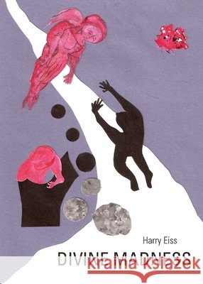 Divine Madness Harry Edwin Eiss 9781443832984 Cambridge Scholars Publishing (RJ)