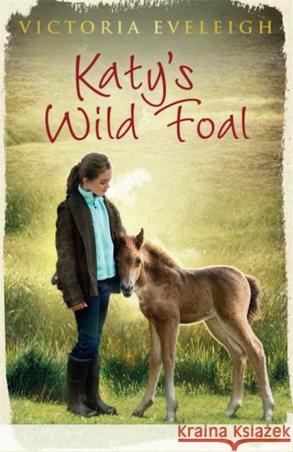 Katy's Exmoor Ponies: Katy's Wild Foal: Book 1 Victoria Eveleigh 9781444005417 Hachette Children's Group