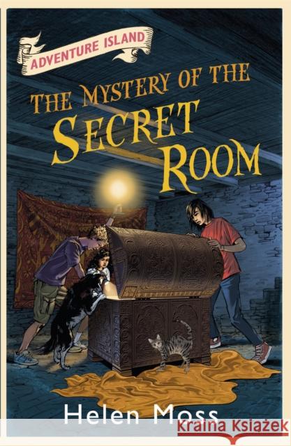 Adventure Island: The Mystery of the Secret Room: Book 13 Helen Moss 9781444007572