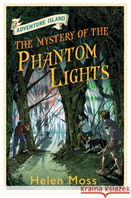 Adventure Island: The Mystery of the Phantom Lights: Book 14 Helen Moss 9781444007589