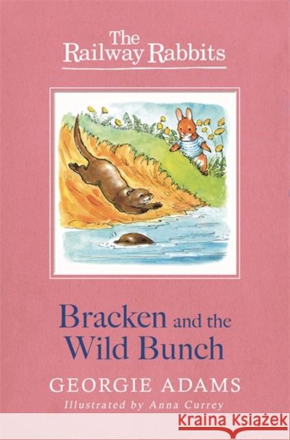 Railway Rabbits: Bracken and the Wild Bunch: Book 11 Georgie Adams 9781444012255