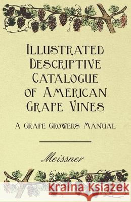 Illustrated Descriptive Catalogue of American Grape Vines - A Grape Growers Manual Meissner 9781444653748 Averill Press