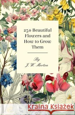 251 Beautiful Flowers and How to Grow Them Morton, J. W. 9781444655766 Read Books