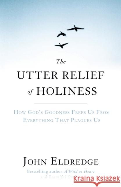 The Utter Relief of Holiness: How God's Goodness Frees Us From Everything That Plagues Us John Eldredge 9781444703283