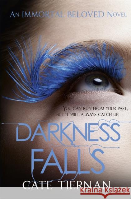 Darkness Falls (Immortal Beloved Book Two) Cate Tiernan 9781444707021