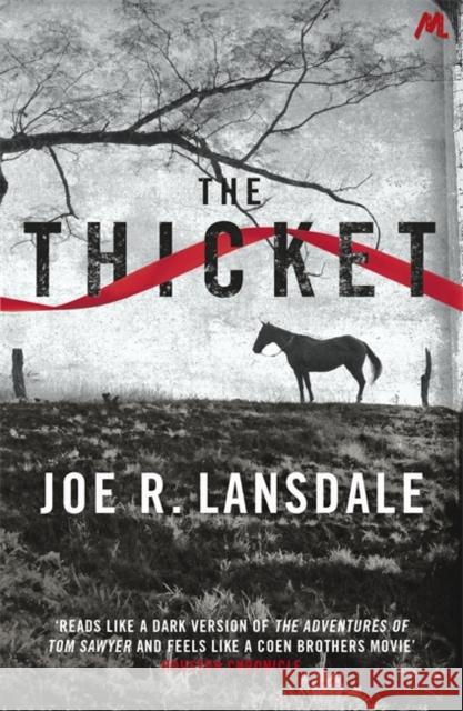 The Thicket Joe R Lansdale 9781444736922 Hodder & Stoughton