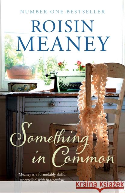 Something in Common: A heart-warming, emotional story of female friendship Roisin Meaney 9781444743548