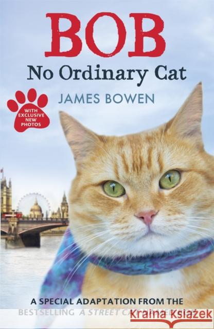 Bob: No Ordinary Cat James Bowen 9781444764901 Hodder & Stoughton