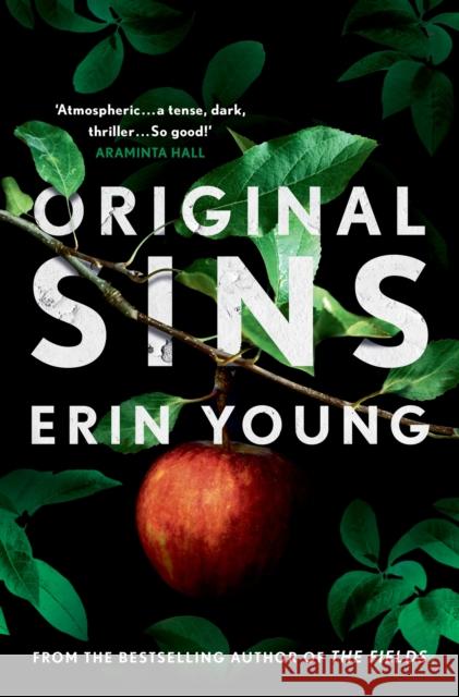 Original Sins: Riley Fisher Book 2 Erin Young 9781444777819